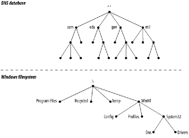 Figure 1-1. The DNS database versus a Windows filesystem 