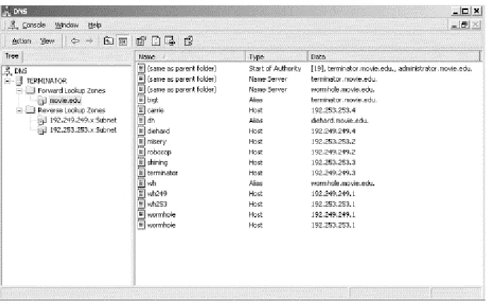 Figure 4-2. The DNS console main window 