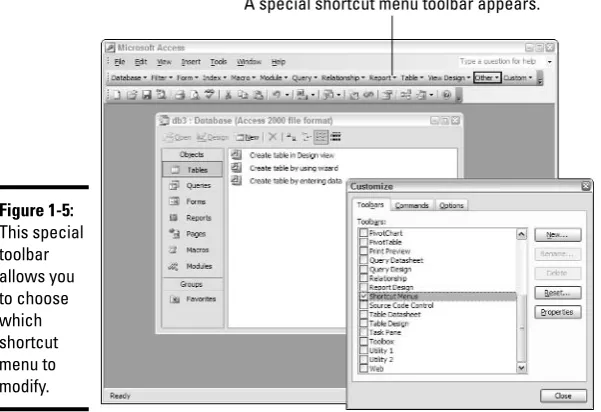Figure 1-5:This special