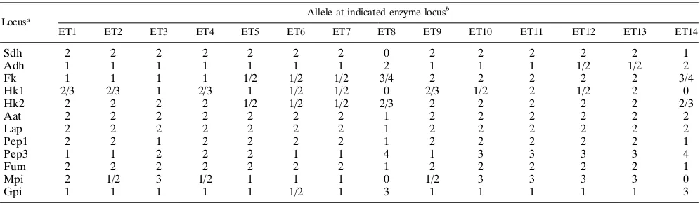 TABLE 3. Allelic makeup of the ETs
