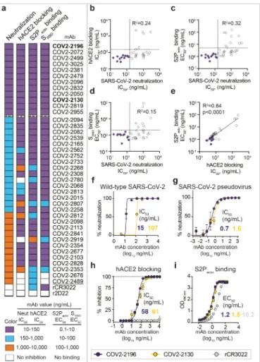 Fig. 1 | Functional characteristics of neutralizing SARS-CoV-2 mAbs.  