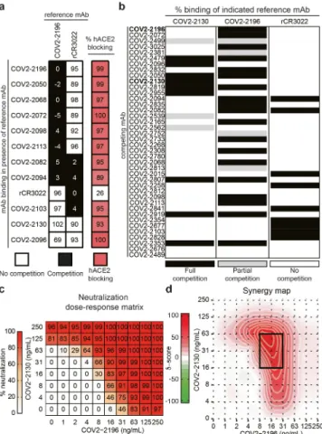 Fig. 2 | Epitope mapping of mAbs by competition-binding analysis and  synergistic neutralization by a pair of mAbs