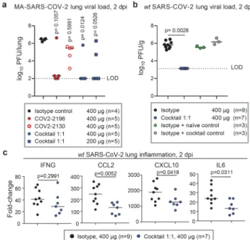 Fig. 5 | Therapeutic efficacy of neutralizing human mAbs against  SARS-CoV-2 infection