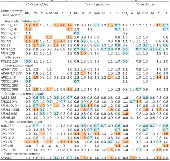 Table 10. Gene variant-smoking intensity association in the NCCCS, overall and by gender and race *,†