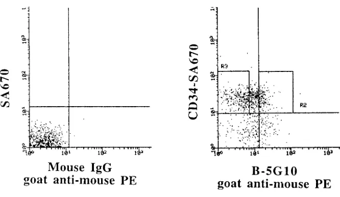 Figure 9. Selection of CD34nonblocking anti-CD34��4� and ��4��� cells. Mobilized PB cells en-riched for CD34� cells were stained with a �4 antibody, B5G10 (40), and goat anti–mouse IgG PE (horizontal axis) and a murine biotinylated IgM anti-CD34 antibody a
