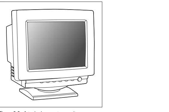 Figure 2-2: A typical computer monitor.