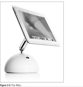Figure 3-3: The iMac.