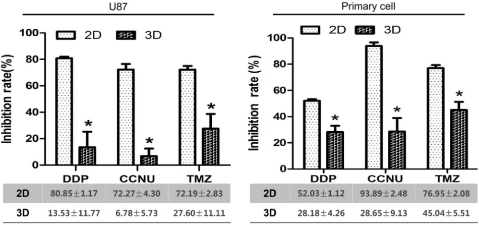 Figure 6: Inhibition of growth of U87 and primary glioma cells by DDP, CCNU and TMZ in 2D vs