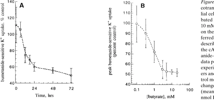 Figure 3. Effects of butyrate 