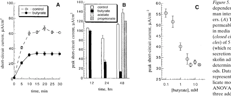 Figure 5. Butyrate inhibits cAMP-responses were determined. Data are meansponses were determined in control T84 monolayers or monolayers treated with either 5 mM sodium butyrate for 12, 24, or 48 h or with 5 mM sodium acetate or sodium proprionate for 48 h