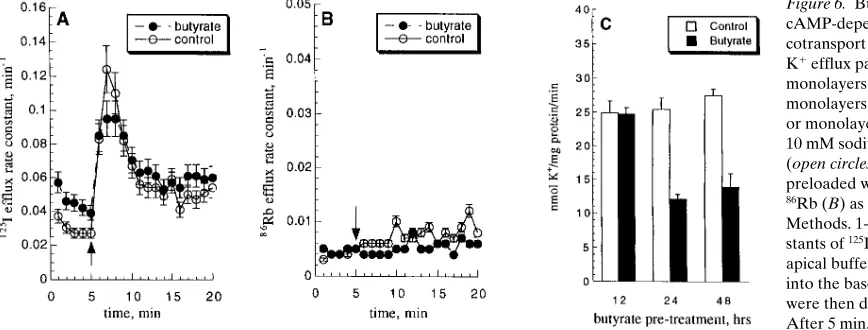 Figure 6. Butyrate inhibits 