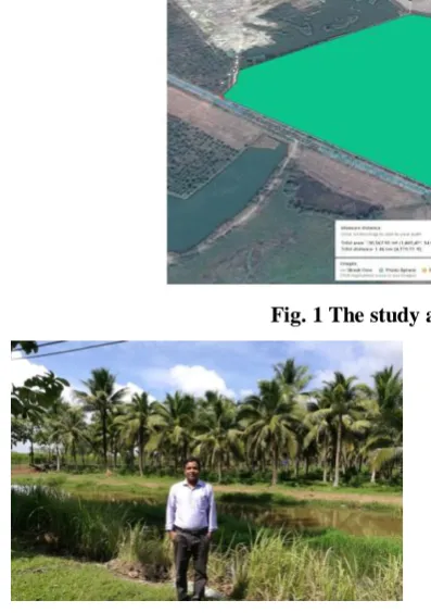 Fig. 2 Coconut plantation in north part of Malaysia 
