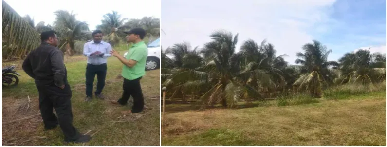 Fig. 3 Personal interview in plantation area, Perlis 