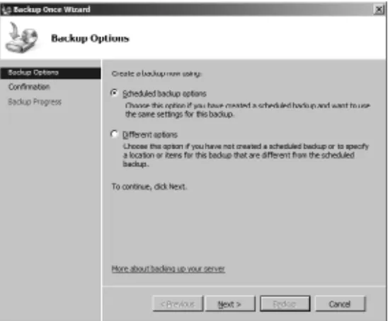 Figure 5.30Launching a one-time backup using scheduled backup options.