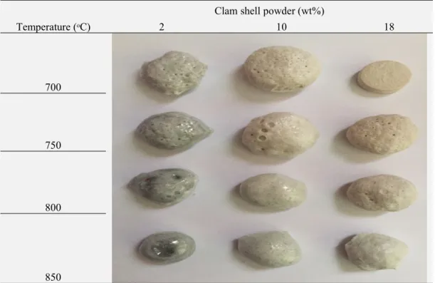 Figure 2: Representative photographs of glass foamed samples at different heat treatment temperatures and with different composition of clam shell powder.