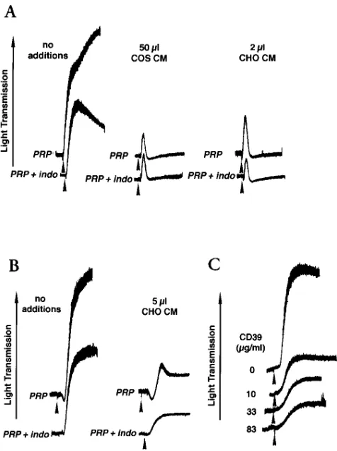 Figure 8. Examination of the effect of FSBA-treated solCD39 on PRP was stimulated with 10 platelet reactivity