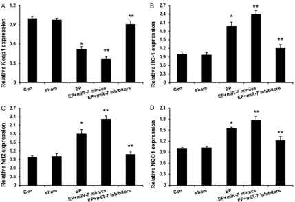 Figure 3. The graphs show Keap1 (A), HO-1 (B), Nrf2 (C), and NQO1 (D) mRNA levels in control, sham, kindling groups, EP + miR-7 mimics and EP + miR-7 inhibitors