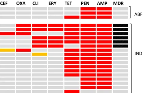 Figure 9.  Antibiotic resistance profiles of 20 CC398 isolates collected during study