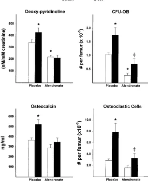 Figure 8. Effect of alendronate on ovariectomy-induced increase in bone cell activity and bone cell progenitors