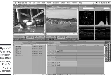 Figure 2-2:Many video