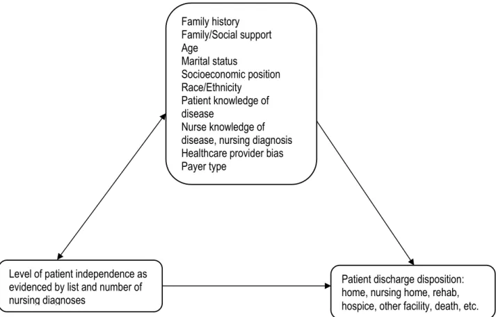 Figure 7. Variables Potentially Affecting Patient Discharge Disposition. 
