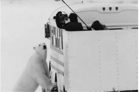 Figure 1-8This EFP crew is shooting a documentary while dealing with extreme weather and an inquisitive (and dangerous) onlooker