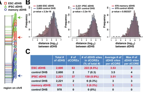 Figure 2.3. dDHS sites occurred in clusters. A) Distribution of hESC, hiPSC, and memory  dDHS sites on a representative locus on chromosome 8