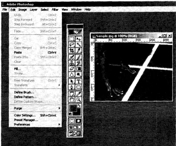 Figure 1.8 A menu illustrating restricted availability of options as an example of logical constraining
