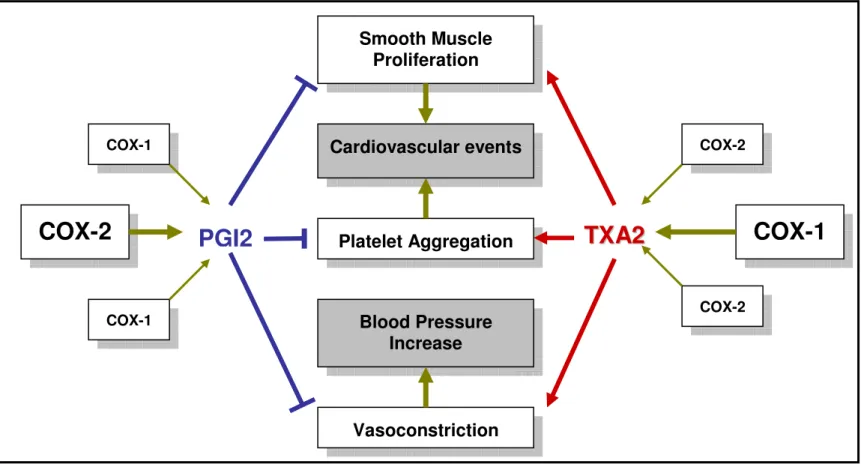 Figure 2. Mechanism of Adverse Cardiovascular Effects Mediated by Cyclooxygenase Enzyme  