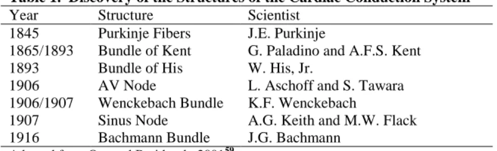Table 1.  Discovery of the Structures of the Cardiac Conduction System 
