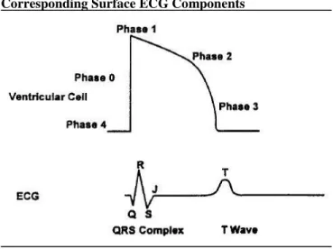 Table 4.  Heart Rate Correction Formulae for QT Interval  Formula  Mathematical Form 