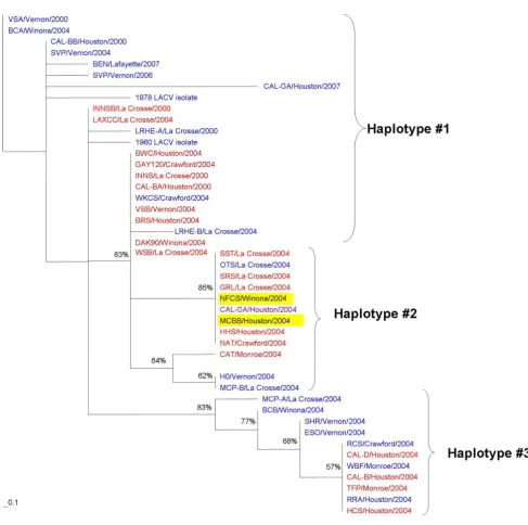 Figure 5M segment (nucleotides 1637–1994) phylogenetic treestrap values were assigned for 100 replicates represented by the numbers on the branches