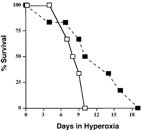 Figure 1. Survival of HO-2 knockout and wild-type mice in hyper-until all animals had died