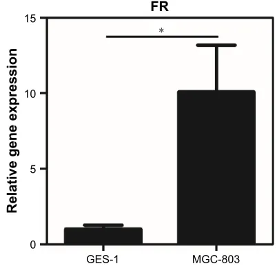 Figure S3 expression of Fr in Mgc-803 and ges-1 cell lines analyzed by qrT-Pcr.Note: each sample was tested in triplicate (n=3 per group)
