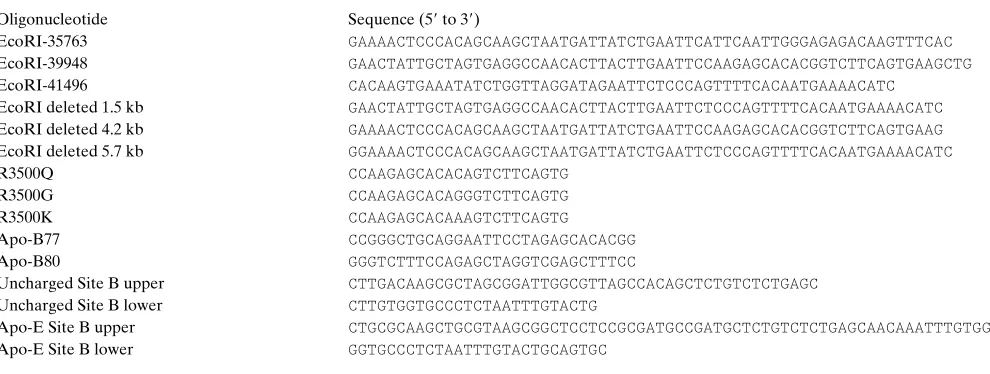 Table I. Oligomers Used in This Study