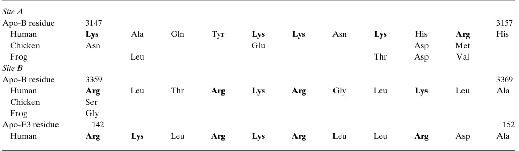 Table III. Species Comparison of Site A and Site B in Apo-B100 with the Receptor-binding Site of Apo-E