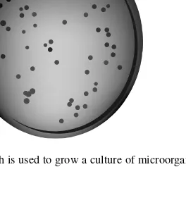 Fig. 1-8. A Petri dish is used to grow a culture of microorganisms.