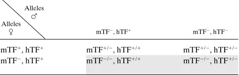 Table I. Offspring from mTF�/�, hTF�/� � mTF�/�, hTF�/�