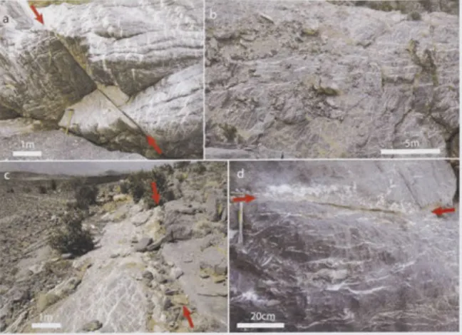 Figure 2.16: Typical vein styles in outcrop along the DAB Fault. PSZ's are marked by arrows where visible, a) 