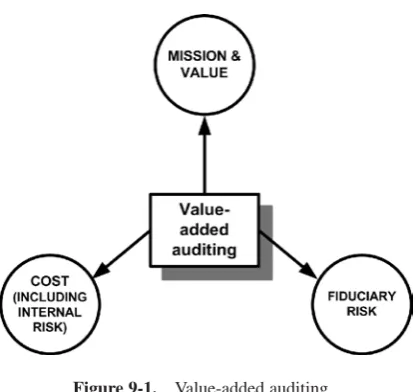 Figure 9-1.Value-added auditing.