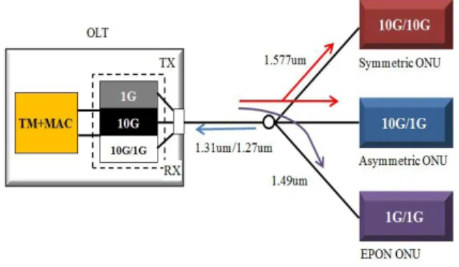 Figure 1: 10g EPON tree topology 