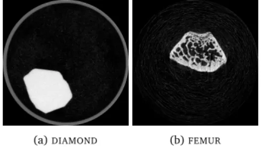 Figure 2.6: Reconstructions of the µCT datasets used in this chapter. The reconstructions were calculated using SIRT and all available projections.