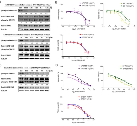Figure 2: Single agent treatment with LDN-193189 or selumetinib affects cellular viability at concentrations higher than the biochemically effective dose