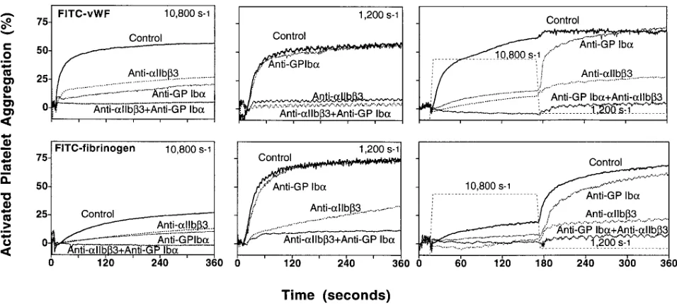 Figure 4. Effect of added soluble vWf on washed platelet aggregation at different shear rates