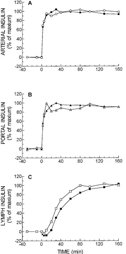 Figure 5. (A) Arterial, (B) portal, and (C) lymph insulin concentra-tions in response to an i.v
