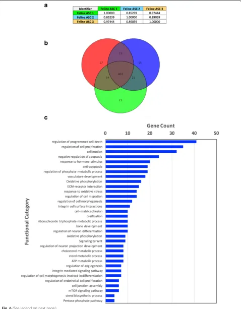 Fig. 6 (See legend on next page.)