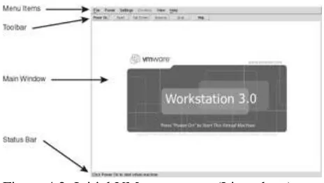 Figure 4.2: Initial VMware screen (Linux host)