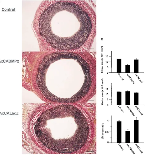 Figure 6 (Continued)