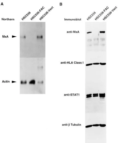 Figure 1. mRNA differen-