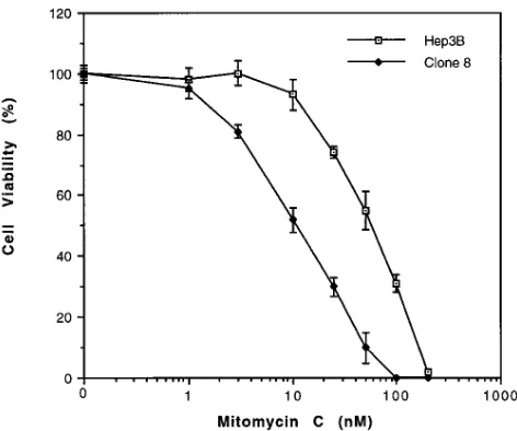 Figure 5. The MxA promoter is not a direct target of FAC. (quantities of plasmid DNA encoding FAC isoforms were used, as in-(the MxA promoter fused to the reporter gene luciferase in the vector pXP2 as well as expression constructs encoding FAC isoforms an
